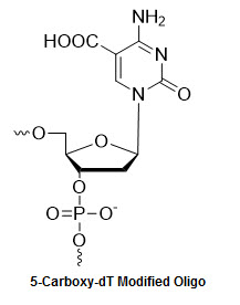 Bio-Synthesis Inc. Oligo Structure